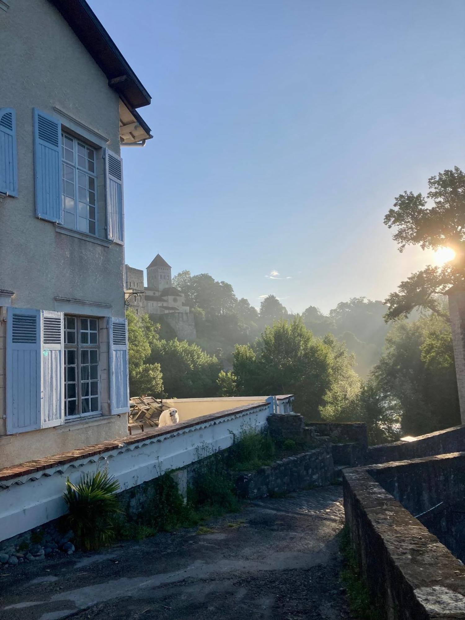 Maison Du Gave Sauveterre-de-Bearn Buitenkant foto